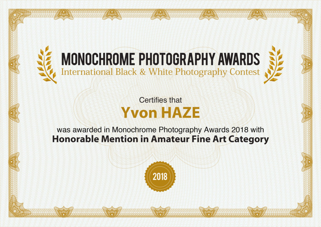 Certificat "Réservé", "Honorable Mention in Fine Art Category "à la COMPETITION  MONOCHROME AWARDS 2018