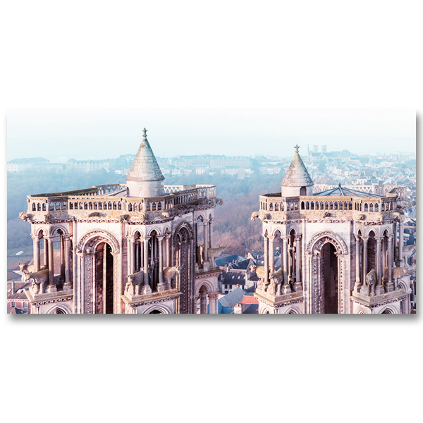Les Boeufs de la Cathédrale Notre-Dame de Laon par Yvon HAZE